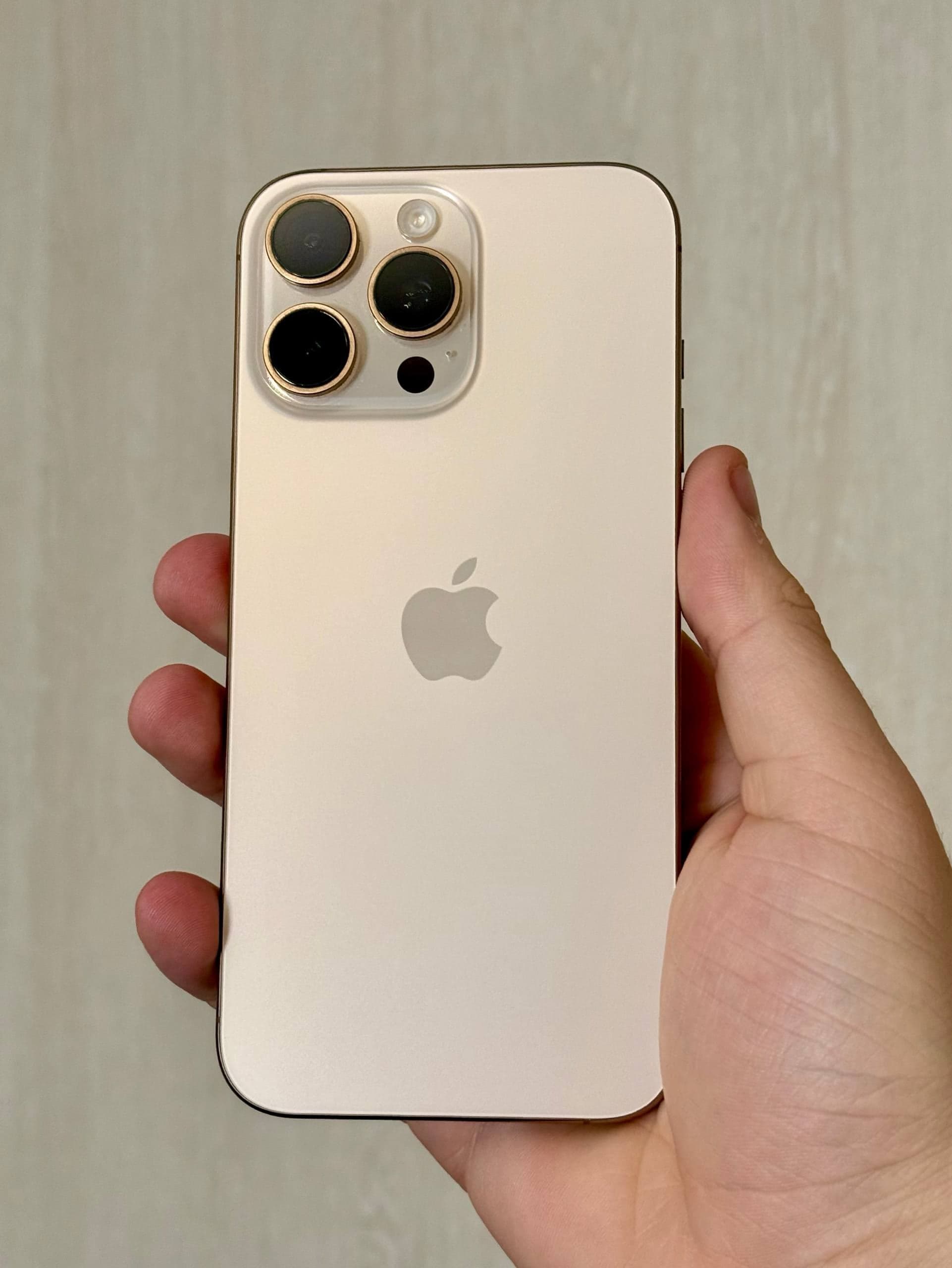 iPhone 16 Pro Max, 256 ГБ: корпус