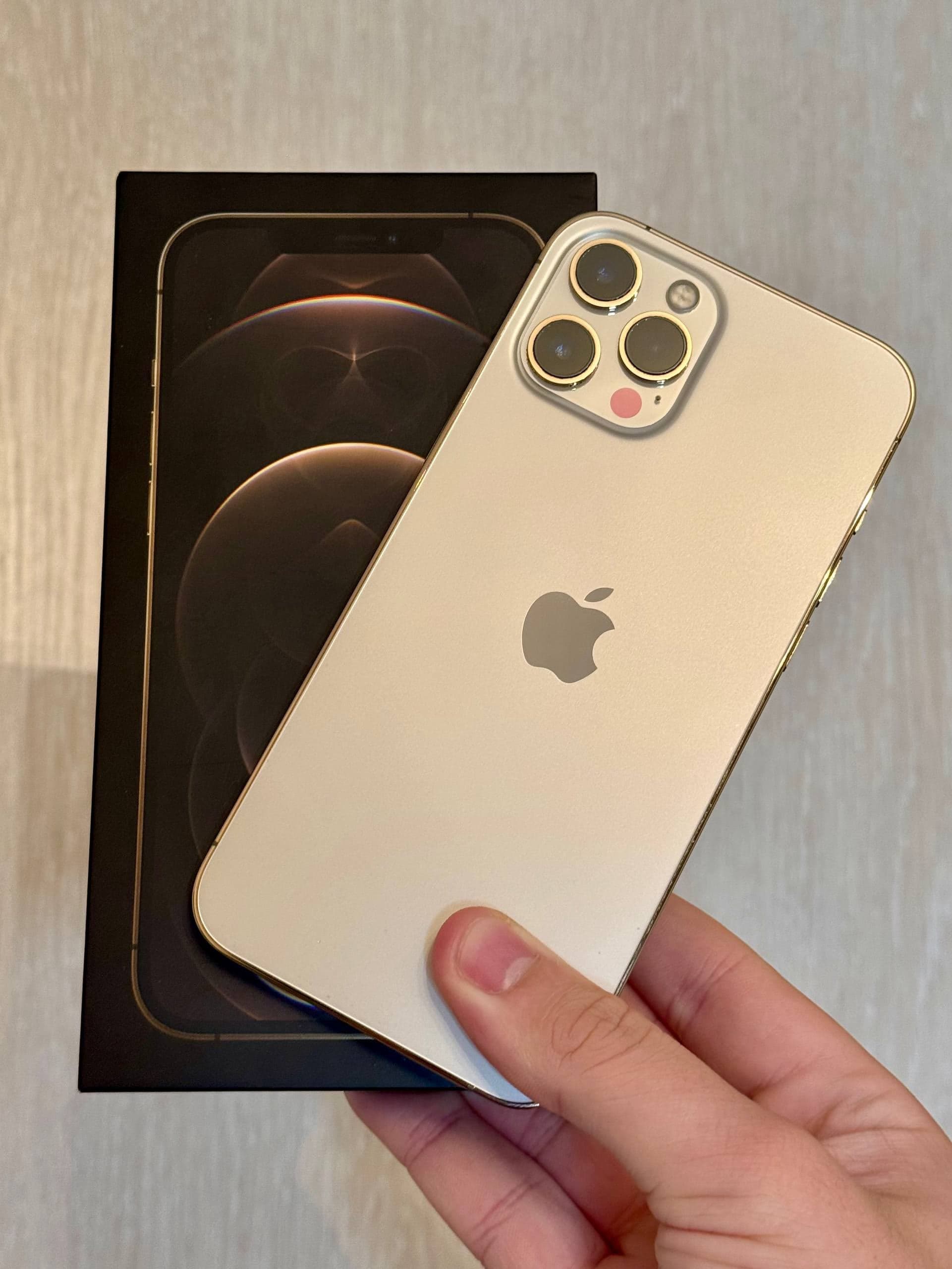 iPhone 12 Pro Max, 256 ГБ: корпус
